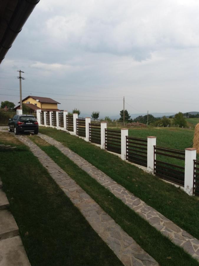 Vila Aloman Sebeş Extérieur photo