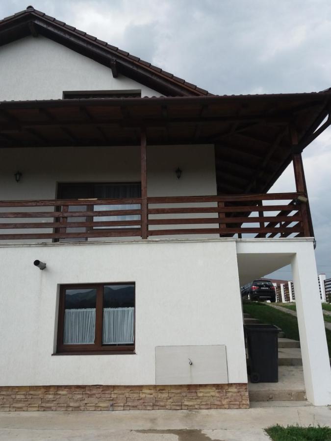 Vila Aloman Sebeş Extérieur photo