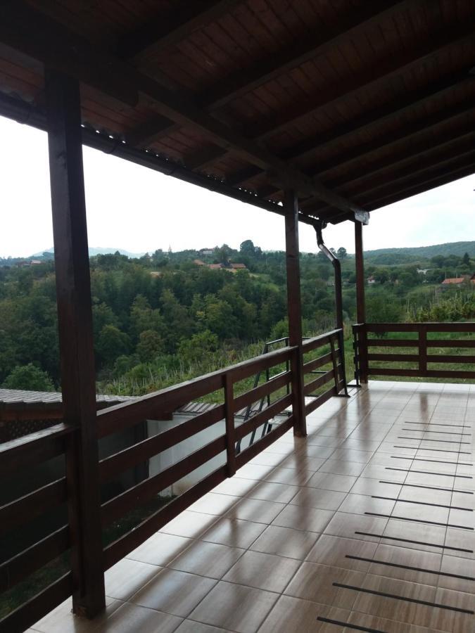 Vila Aloman Sebeş Extérieur photo
