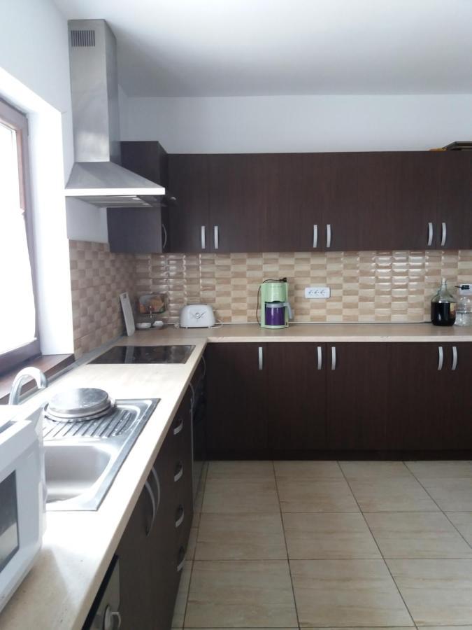 Vila Aloman Sebeş Extérieur photo