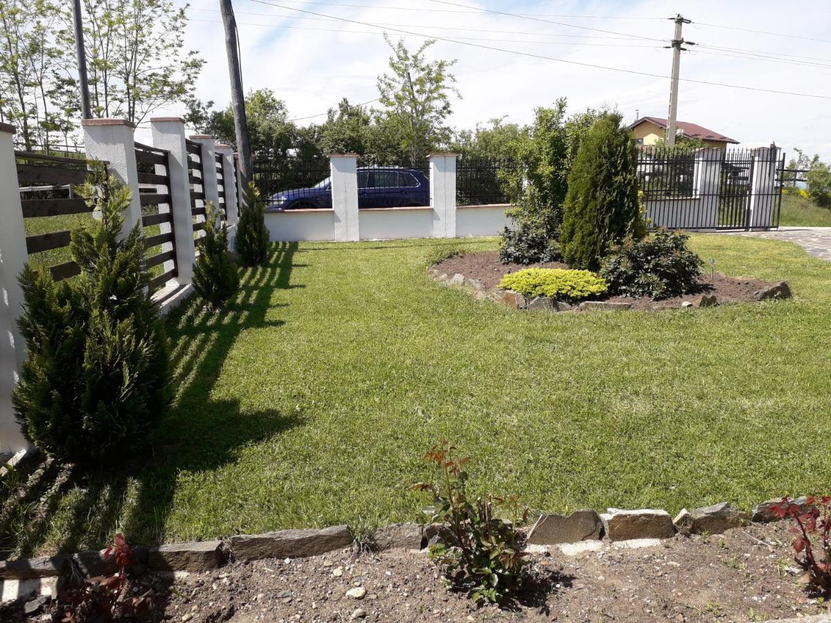 Vila Aloman Sebeş Extérieur photo