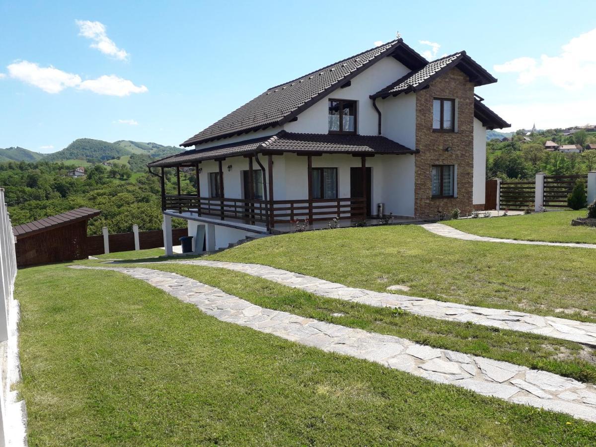 Villa Vila Aloman à Sebeş Extérieur photo