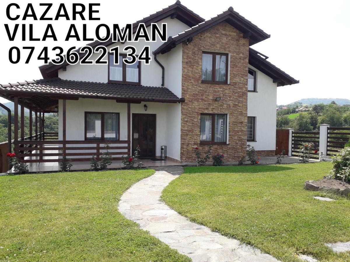 Vila Aloman Sebeş Extérieur photo