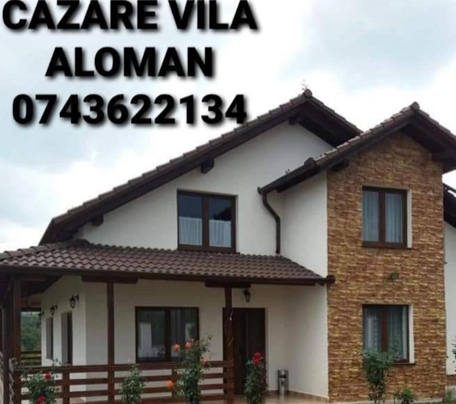 Vila Aloman Sebeş Chambre photo